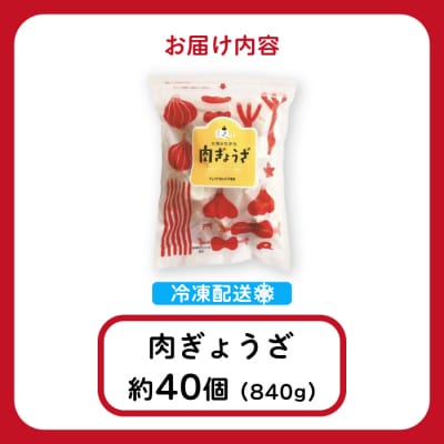 paoの無添加餃子「大地のちから 肉ぎょうざ」840g(約40個)  [058-008]