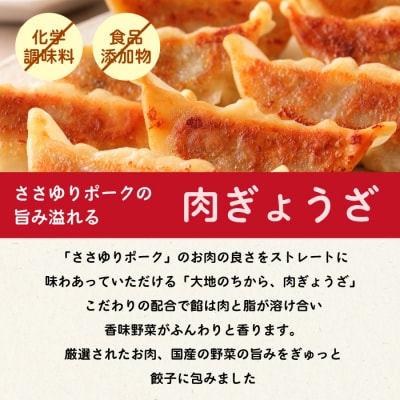 paoの無添加餃子「大地のちから 肉ぎょうざ」840g(約40個)  [058-008]
