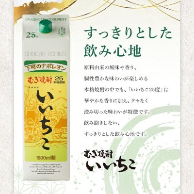 定期便3回(隔月)いいちこ25度パック(1800ml×6本×3回)【204300100】【山添産業】
