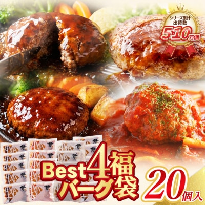 Best4バーグ ハンバーグ 20個セット(合挽4種 各5個)