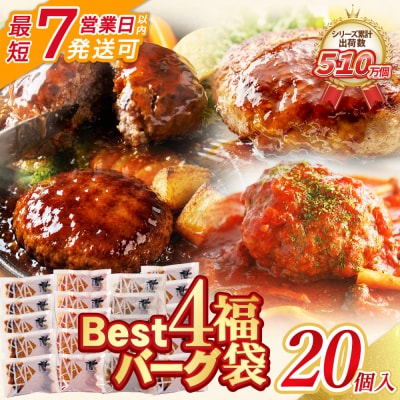 【7営業日以内発送】 Best4バーグ ハンバーグ 20個セット(合挽4種 各5個)