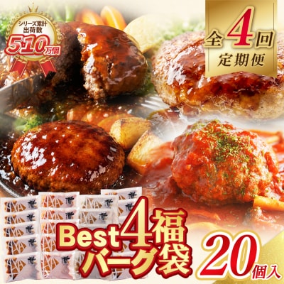 【4回定期便】Best4バーグ(デミグラスソース)20個【合挽4種・各5個】