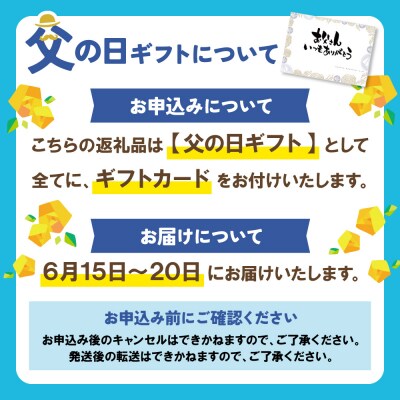 【父の日】Best4 ハンバーグ 6個セット