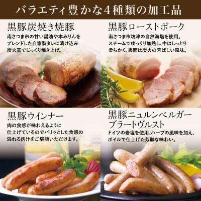 【お中元ギフト】鹿児島産黒豚バラエティセット 4種(焼豚・ハム・ソーセージ)