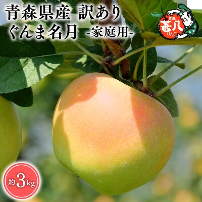 11月発送　訳あり　家庭用　甚八りんごぐんま名月3kg　【マルジンサンアップル】