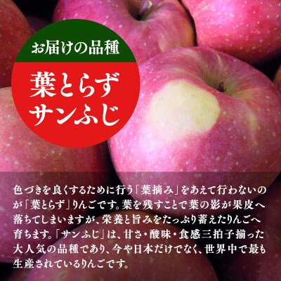 1月発送 特選 甚八りんご 葉とらずサンふじ3kg 【マルジンサンアップル 】