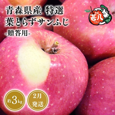 2月発送 特選 甚八りんご 葉とらずサンふじ3kg 【マルジンサンアップル 】