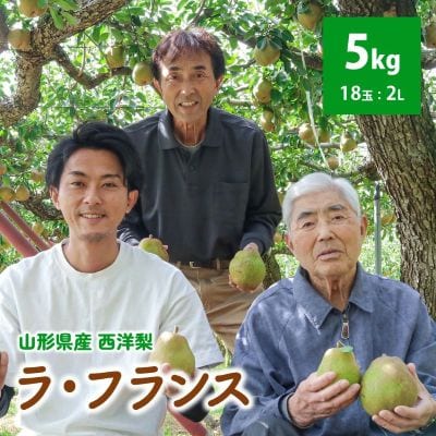 西洋梨(ラ・フランス)5kg　2L　0078-2605
