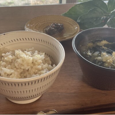 令和7年産 【玄米】久保山百年米 真空パック(2合300g×5袋)計1.5kgギフトにオススメ!