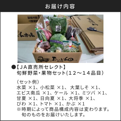 【JA直売所セレクト】旬鮮野菜・果物セット(12～14品目)　K072-001
