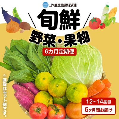 【JA直売所セレクト】6ヵ月定期便!旬鮮野菜・果物セット(12～14品目)　K072-T01