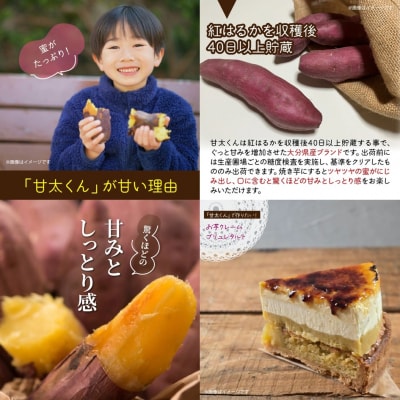 【先行受付】さつまいも 甘太くん 5kg 大分県産 M~2L 紅はるか サツマイモ_2291R