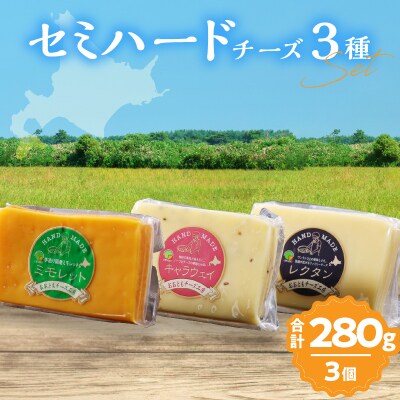 【おおともチーズ工房】《熟成の旨味を堪能!!》熟成セミハードチーズ3種セット_H0003-115