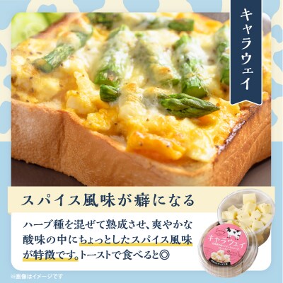 【おおともチーズ工房】《熟成の旨味を堪能!!》熟成セミハードチーズ3種セット_H0003-115