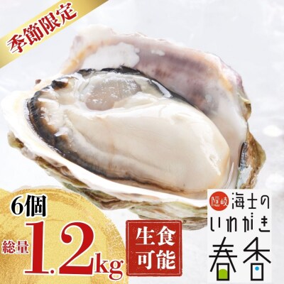 【お申し込みは5/17まで】いわがき春香 6個|1.2kg 手のひらサイズの岩牡蠣(生食可)