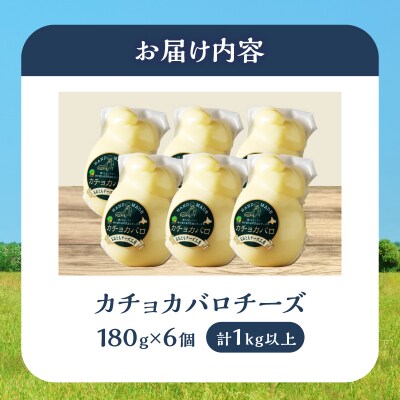 【おおともチーズ工房】《満腹セット!!》カチョカバロチーズ180g×6個_H0003-122