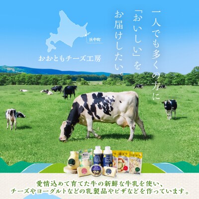 【おおともチーズ工房】《リピート間違いなし!!》定番とまとマルゲリータ12枚_H0003-127
