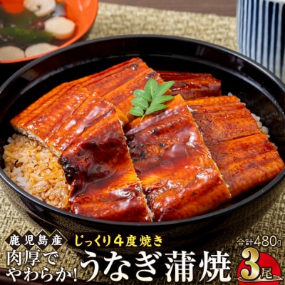 うなぎ 蒲焼 160g×3尾【鹿児島産】地下水で育てた逸品鰻
