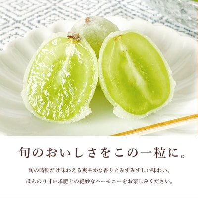 【先行受付】ひとつぶのシャインマスカット(10個入) [018-012]