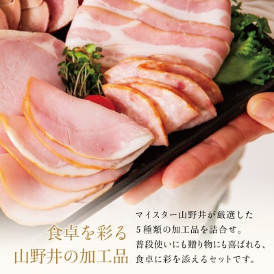 【お中元ギフト】【マイスター山野井】炭焼き焼豚とハムの詰め合わせ(5種)