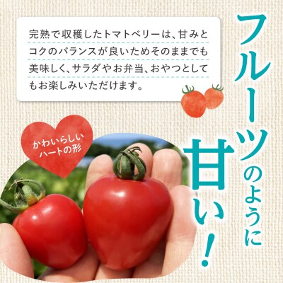 【7月上旬発送】余市町 トマトベリー 3kg ハート型フルーツミニトマト_Y026-0015