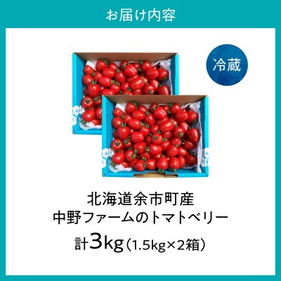 【7月上旬発送】余市町 トマトベリー 3kg ハート型フルーツミニトマト_Y026-0015