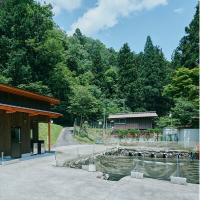 安芸高田 滝ヶ谷 やまめ やわらか炭火焼き (4尾入り) [No5895-0626]