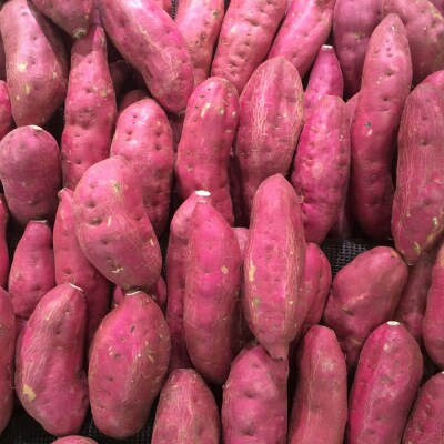 【令和8年11月下旬】干し芋 100g×3袋 さつまいも 和菓子 お菓子 デザート【R01515】