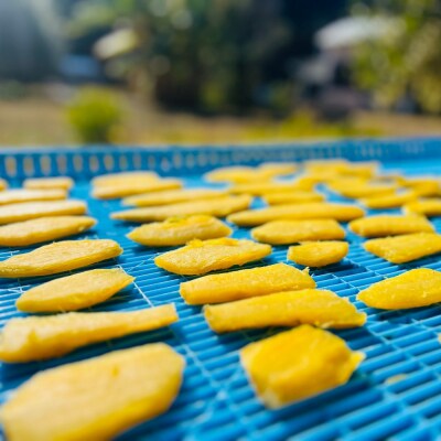 【令和8年11月下旬】干し芋 100g×10袋 さつまいも 和菓子 お菓子 デザート【R01516】