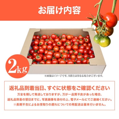 【11月発送】トマト魂!峯本の贅沢フルティカトマト(中玉サイズ)2キロ 【R01032】