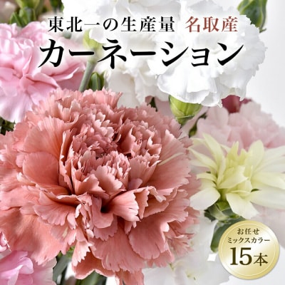 名取市名産『カーネーション』 お任せミックスカラー 15本|21_sge-011501