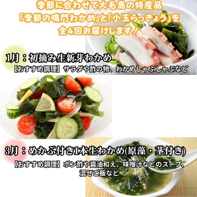 鳴門大毛島直送!【全4回定期便(1月/3月/5月/7月)】鳴門わかめ食べ比べ、らっきょう甘酢漬けセッ