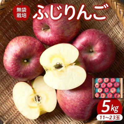 りんご(ふじりんご)5kg　0007-2603