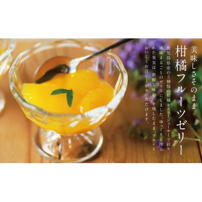 【お中元ギフト】【鹿児島県産】柑橘フルーツゼリー 詰め合わせ 5種 清木場果樹園