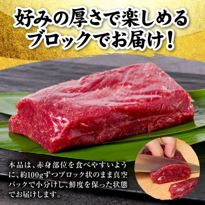 国産 熊本肥育 赤身 馬刺し 合計500g (100g×5パック)_298-6813