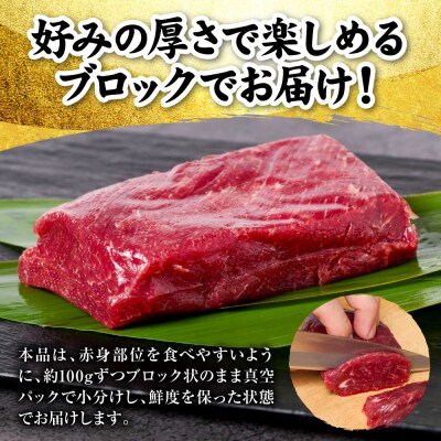 国産 熊本肥育 赤身 馬刺し 合計700g (100g×7パック)_298-6814