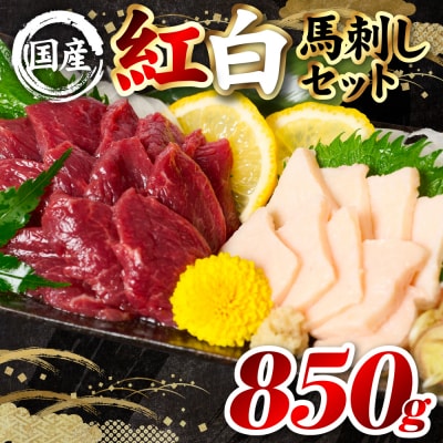 国産 熊本肥育 紅白馬刺しセット 合計850g (赤身700g・コウネ150g)_298-6818