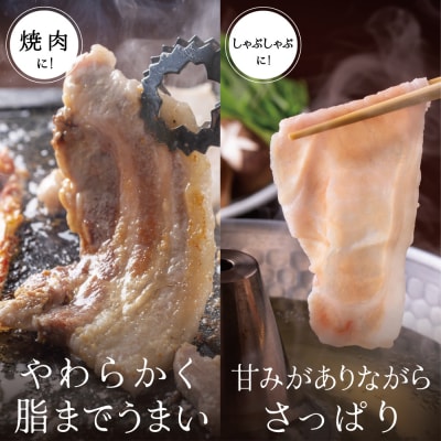 【お中元ギフト】【ブランド黒豚】かごしま黒豚 2種 計600g ローススライス&バラ焼肉用