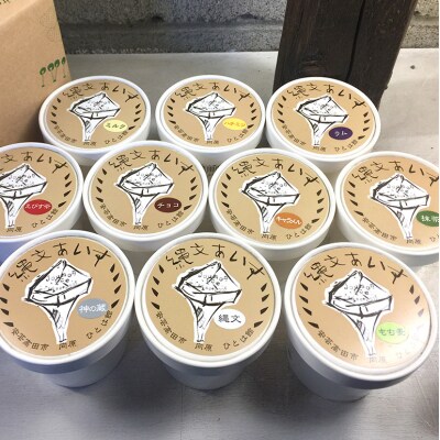 縄文あいす 4個 & 縄文あいすもなか 6個 セット[No5895-0742]