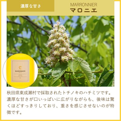 MARRONNIER マロニエ 300g×1個(ガラスびん)|07_bct-020101a
