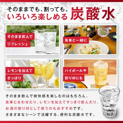 【定期便2回】アサヒ　炭酸水　ウィルキンソンタンサン　500ml ペットボトル　1ケース×2ヶ月
