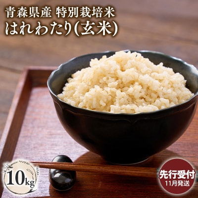 ≪令和8年11月発送≫　特別栽培米 はれわたり玄米10kg【青森県 平川市】 