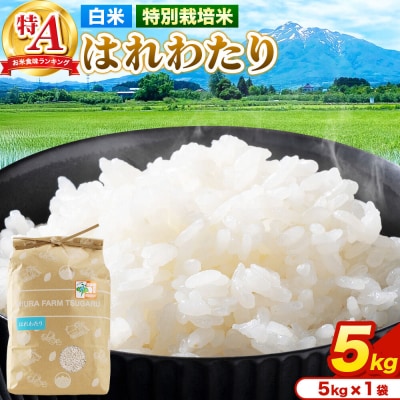 米【特別栽培米】はれわたり 白米 5kg(5kg×1袋)R7年産 特A|24_mft-030501