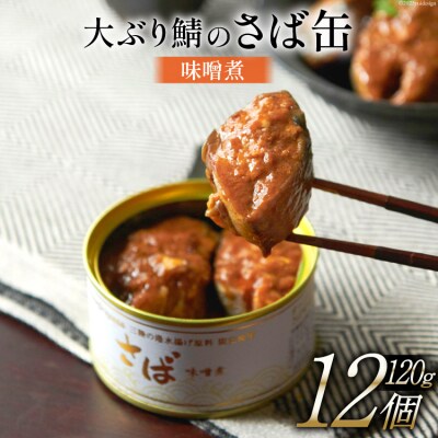 OceanPrincess 大ぶり鯖のさば缶 12缶 セット 味噌煮 [20565066]