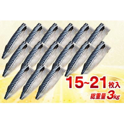 訳あり 減塩 塩サバ フィレ Mサイズ 総重量 3kg [20565687]