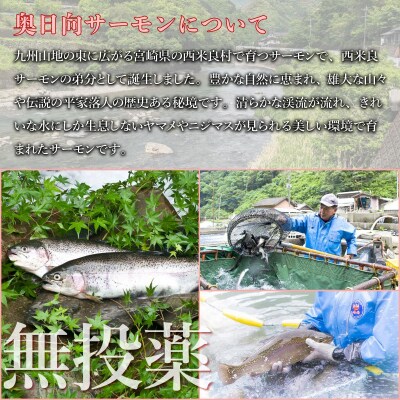 【ふるさと納税】奥日向サーモン フィレ2枚とアラ1パック　魚 海鮮 ご当地サーモン 西米良村 