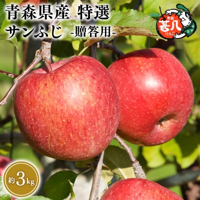 3月発送　特選　甚八りんごサンふじ3kg　【マルジンサンアップル】