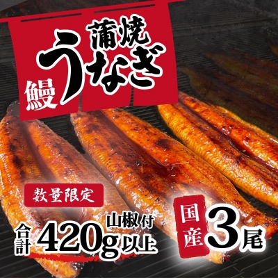 【数量限定】【訳あり】 国産うなぎ 蒲焼き 3尾 420g以上 大きさ不揃い 山椒付き