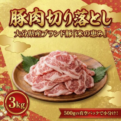 豚肉切り落とし(3kg/小分け500g)