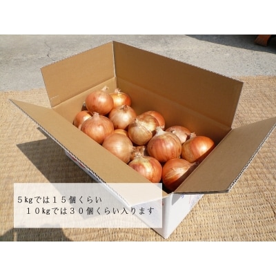 【淡路夢ファーム】玉ねぎ(淡路玉三郎)10kg